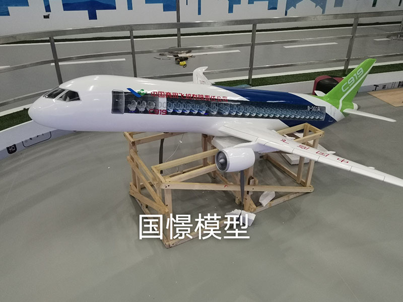 绥宁县飞机模型